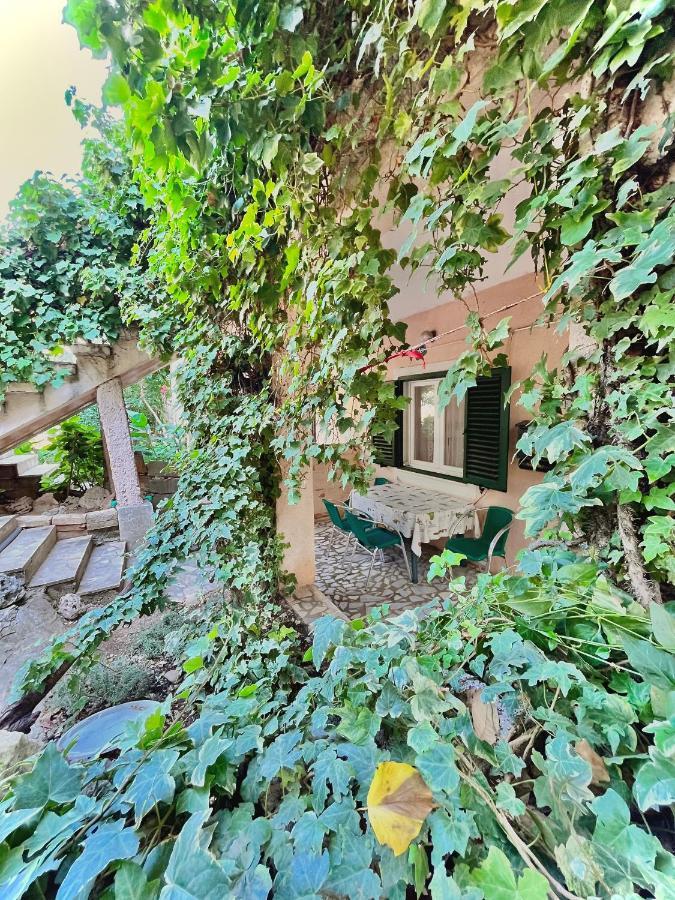 Elite Residence Flos Orebić Kültér fotó